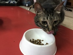 212DC7D4-CAC1-454A-9517-E4B062FFF36C