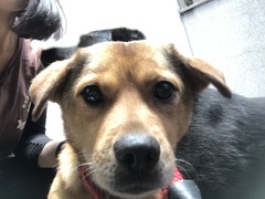 32E08AC9-F9BC-4C1D-88BC-4AB7DD2D8758