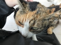 FA223A44-A454-42D4-8716-9EB95B0A7330