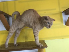 D209AC39-6356-475E-88A6-76E994972D1E