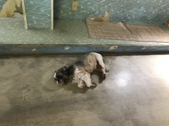 F781FEC2-CE6C-499C-8127-E6D2BE1DC74F