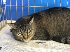 B89A6266-ABCA-498E-B913-9F3E5FBFFB8E