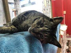 C0DEFE70-83DD-4596-AE28-BDA131096154