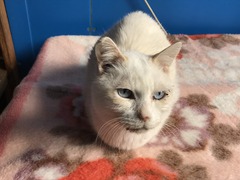 19357F3C-6CBD-416F-ABEF-EE140DAB1966