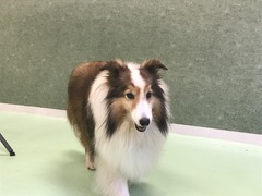 49B72A7C-BED4-4591-9A62-0837B6C63B22