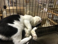 53596F69-295A-44C7-A507-8718B4A8BB5E