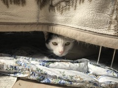 7BBD1EAB-53F8-4CE8-8889-651F93F706C6