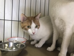 2751A6FC-C326-4346-ABE6-D8F3EF583093