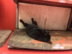 37950B4C-DBAF-45A6-AE17-391A71678DBE