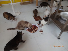 DSC06032