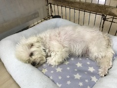 99E49001-99EC-4BF5-A8D7-992372C72396