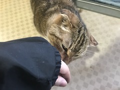 31D8C6D9-A346-4CEE-9A6A-E8DDA9837BAD