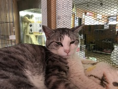 7418001C-35AD-4A48-BC24-E8F8A3EFE8FE