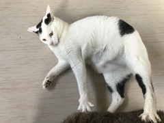 9923A348-B8D0-45CE-9B20-059E96640928