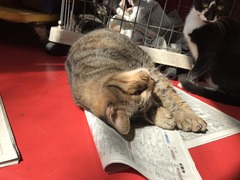 47F476F8-BA8F-4AE3-A45F-37618B72454A