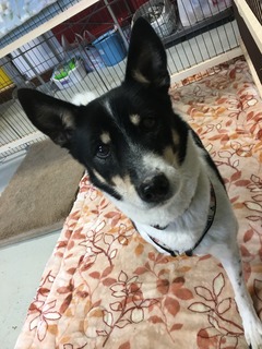 046A21A0-F0CC-4733-BD00-6128EE5DF0A3