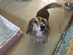 F5015FE4-9829-419C-B1E4-DB6F15341881