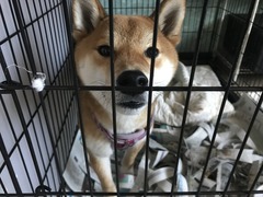 29A587C9-0C48-4512-B81A-0BF59445151E