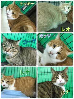 329AF0AB-609B-4096-B79C-D8FBE4ADFF22