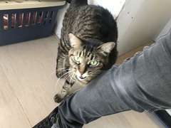 70C79F75-0F45-4FF1-AF3B-85B57BC4AC9B