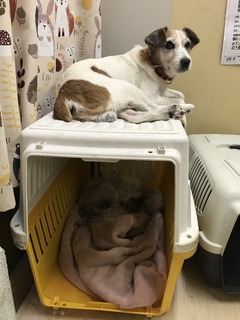 D578488B-C9B8-486B-B1EA-D04A819C7CD4