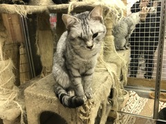 B515658E-036F-45CB-8314-EA9E9BE985AA