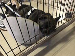 A55870E0-A1CF-4B43-A386-AF1F4A906479