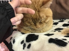 20CDCC94-7E31-4EC4-9C11-25676436F451