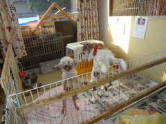 DSC06985