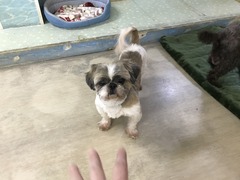 3F76C6CA-9D9A-42B6-82F6-CA19D8AE08C6