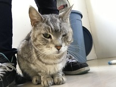 B39F85EB-6436-4325-9C8B-2D57B82CD813