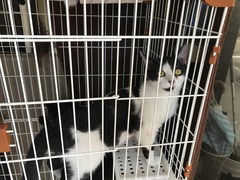 B61C14E7-2E0C-4E65-B70B-75CB8330AABA