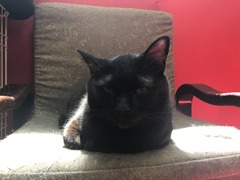 948B49D9-CA34-4BC0-A14D-84779F5DA362