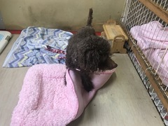 CC562684-CD98-4AAE-B0EF-E297B1F8D8FD