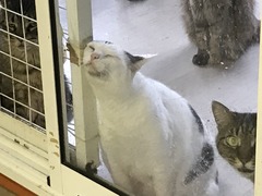 D3DE8D18-EB7C-47BB-8605-6B9656791E1A