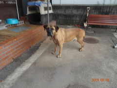 DSC05987