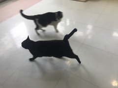 7D0C037D-B8B3-44F4-8103-8D8D4A181BA3