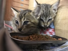 62143698-C39C-45EE-8DAE-0A59FD395838