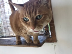 A0EE0039-B88E-4DB5-AB48-A8E145208411