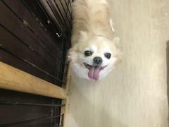 262F93A5-3226-4FCB-8FED-8B516387D222