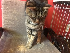 305CE3C7-C588-4D37-9DE9-E075DB11F822