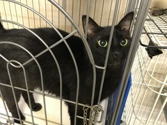 90C7D091-6120-40D4-B292-5E9731A28E3D