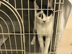 8BCABB83-E593-4B34-B0E2-AA14DAD7639D