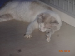 DSC05967