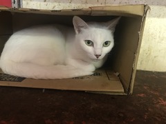 04E38EC2-97F9-4E5C-BF4B-C5722C34E355