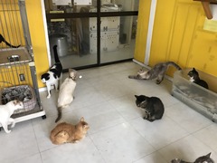 560FDDD8-6E91-4F4D-A919-29E8EEF42EFD