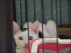 DSC08215