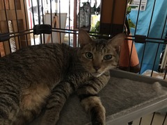 75ED4399-F25A-443B-9AF3-641EEAEA9AF1