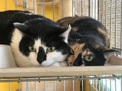 ED13BDAE-A6E0-41FF-9082-D81F99F0F0A8