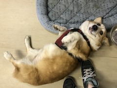 1810C12E-543E-4B10-A432-636ADE12428E